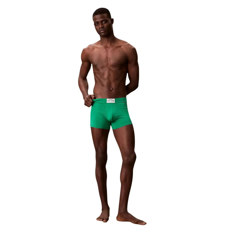 Calvin Klein men green cotton boxer briefs with a white waistband label showcasing front design