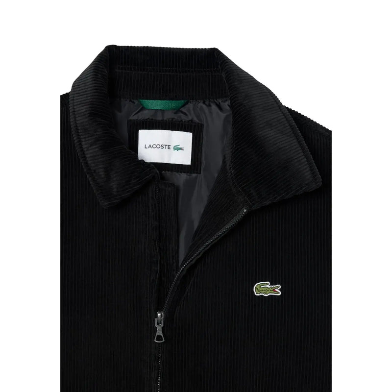 Blazer Lacoste pour homme en coton velours côtelé noir, orné du logo crocodile vert sur la poitrine et du col assorti.