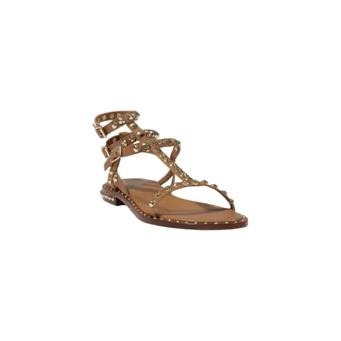 Brown Studded Gladiator Sandal featuring leather straps and metal stud embellishments