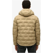 Doudoune matelassée beige à capuche pour homme, en polyester. Superdry modèle M5012045A